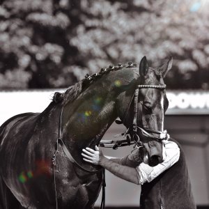 Redcar | Zetland Gold Cup | 29/5/23