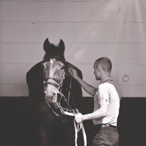 Redcar | Zetland Gold Cup | 29/5/23