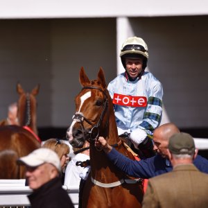 Redcar | Zetland Gold Cup | 29/5/23