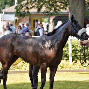 Ripon | Go Racing Yorkshire | 16/7/22
