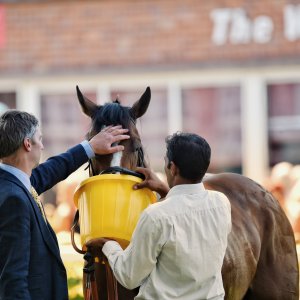 Ripon | Go Racing Yorkshire | 16/7/22