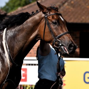 Ripon | Go Racing Yorkshire | 16/7/22