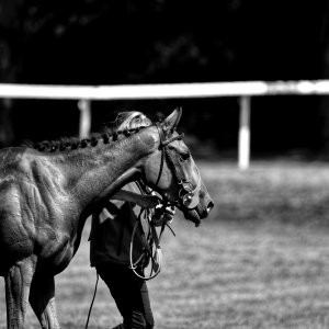 Ripon | Go Racing Yorkshire | 16/7/22