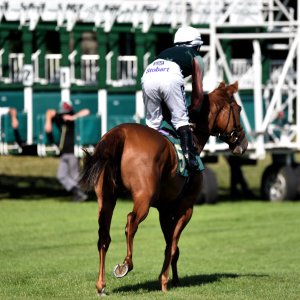 Ripon | Go Racing Yorkshire | 16/7/22