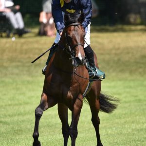 Ripon | Go Racing Yorkshire | 16/7/22