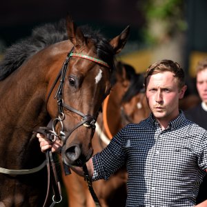 Ripon | Go Racing Yorkshire | 16/7/22