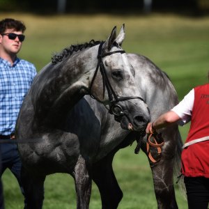 Ripon | Go Racing Yorkshire | 16/7/22