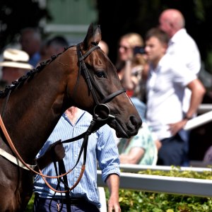 Ripon | Go Racing Yorkshire | 16/7/22