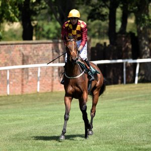 Ripon | Go Racing Yorkshire | 16/7/22