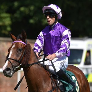 Ripon | Go Racing Yorkshire | 16/7/22