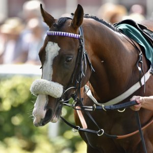 Ripon | Go Racing Yorkshire | 16/7/22