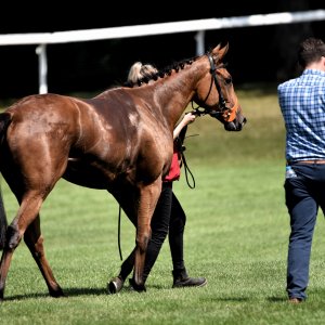 Ripon | Go Racing Yorkshire | 16/7/22