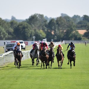 Ripon | Go Racing Yorkshire | 16/7/22