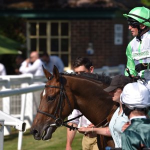 Ripon | Go Racing Yorkshire | 16/7/22