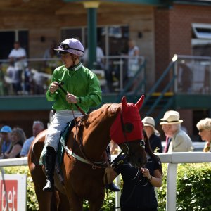 Ripon | Go Racing Yorkshire | 16/7/22