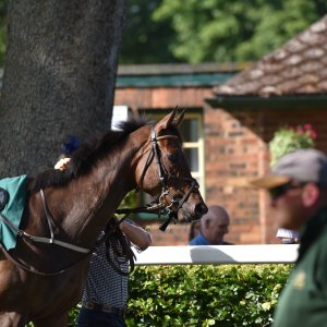 Ripon | Go Racing Yorkshire | 16/7/22