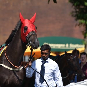 Ripon | Go Racing Yorkshire | 16/7/22
