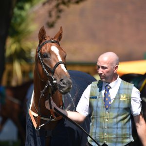 Ripon | Go Racing Yorkshire | 16/7/22