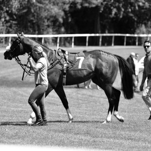 Ripon | Go Racing Yorkshire | 16/7/22