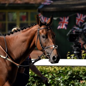 Ripon | Go Racing Yorkshire | 16/7/22