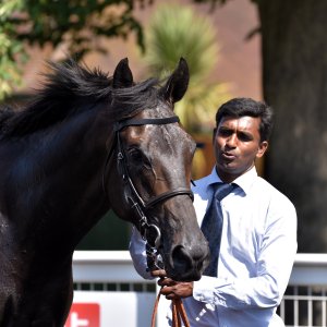 Ripon | Go Racing Yorkshire | 16/7/22