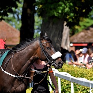 Ripon | Go Racing Yorkshire | 16/7/22