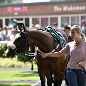 Ripon | Go Racing Yorkshire | 16/7/22