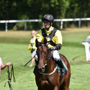 Ripon | Go Racing Yorkshire | 16/7/22