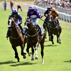 Ripon | Go Racing Yorkshire | 16/7/22