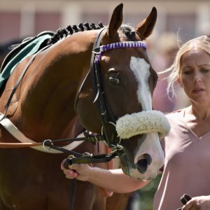 Ripon | Go Racing Yorkshire | 16/7/22