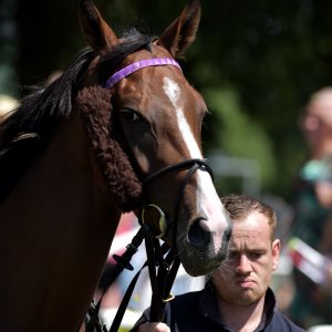 Ripon | Go Racing Yorkshire | 16/7/22