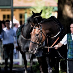 Ripon | Go Racing Yorkshire | 16/7/22