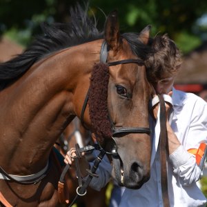 Ripon | Go Racing Yorkshire | 16/7/22