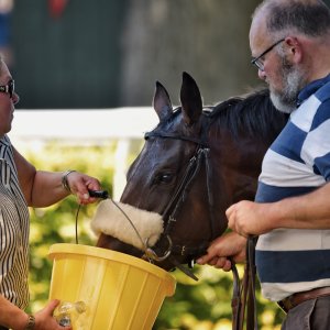Ripon | Go Racing Yorkshire | 16/7/22