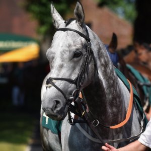 Ripon | Go Racing Yorkshire | 16/7/22