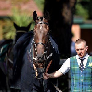 Ripon | Go Racing Yorkshire | 16/7/22