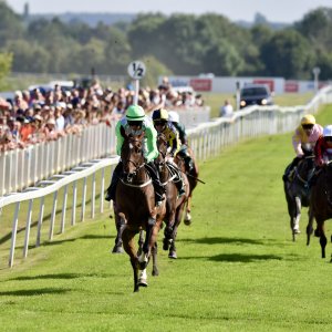 Ripon | Go Racing Yorkshire | 16/7/22