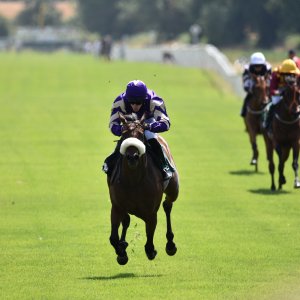 Ripon | Go Racing Yorkshire | 16/7/22