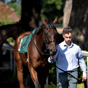 Ripon | Go Racing Yorkshire | 16/7/22