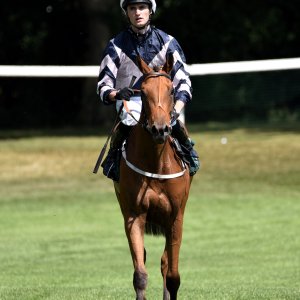 Ripon | Go Racing Yorkshire | 16/7/22