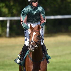 Ripon | Go Racing Yorkshire | 16/7/22