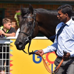 Ripon | Go Racing Yorkshire | 16/7/22