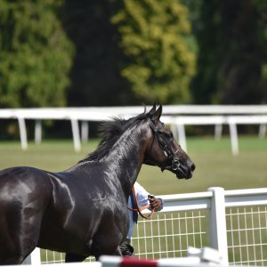 Ripon | Go Racing Yorkshire | 16/7/22