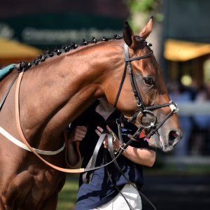 Ripon | Go Racing Yorkshire | 16/7/22