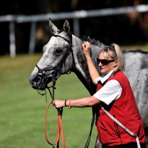 Ripon | Go Racing Yorkshire | 16/7/22