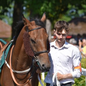 Ripon | Go Racing Yorkshire | 16/7/22