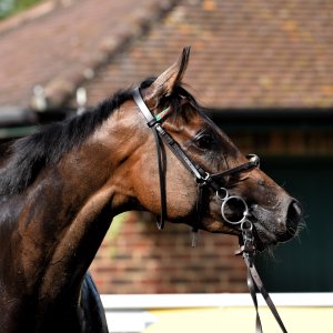 Ripon | Go Racing Yorkshire | 16/7/22