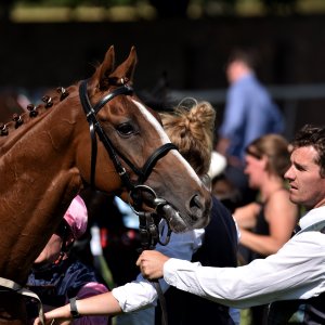 Ripon | Go Racing Yorkshire | 16/7/22