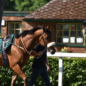 Ripon | Go Racing Yorkshire | 16/7/22