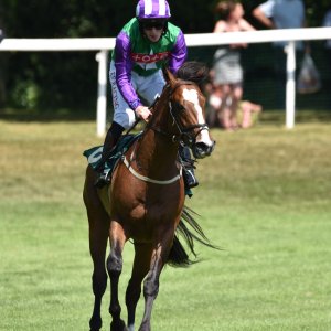 Ripon | Go Racing Yorkshire | 16/7/22